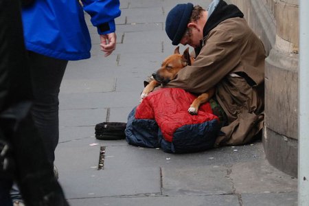Ein Mann sitzt auf dem Bürgersteig, ein Hund im Arm, ein Spendenkörberl vor sich.