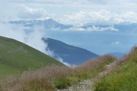 Ein schmaler Weg in den Bergen mit großartiger Aussicht auf die Natur.