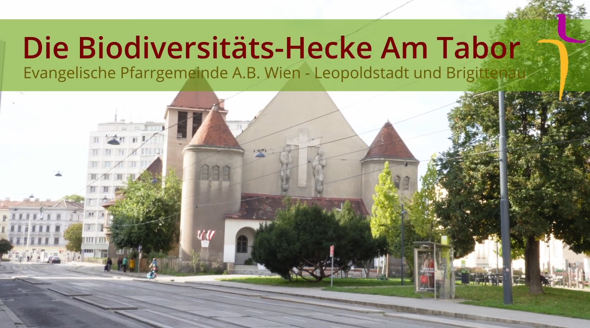 Screenshot zur Biodiversitäts-Hecke am Tabor