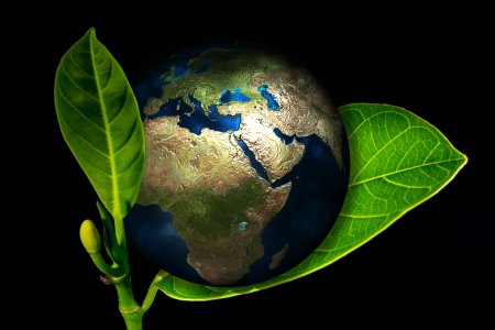 Zum Wohle der Schöpfung fordern die Umweltbeauftragten, die CO2-Emissionen weltweit zu reduzieren.
