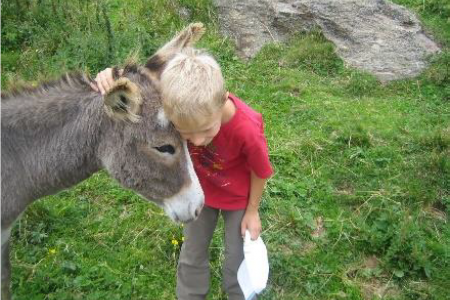 Ein Esel trägt Frieden und Gerechtigkeit - und wird auf diesem Foto von einem Kind umarmt. Foto: privat 