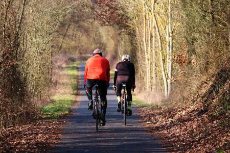 &quot;Wie man mobil sein kann, ohne Nerven und Umwelt zu belasten&quot;, will der steirische Superintendent Wolfgang Rehner herausfinden. Foto: pixabay