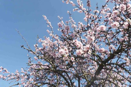 Ostern zuhause: Anleitungen für Hausandachten helfen beim Feiern. Foto: Matouschek