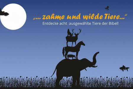 Acht ausgewählte Tiere der Bibel zum Entdecken, Arbeitsblätter mit vielen Informationen, Aufgaben, Rätseln, Bastelanleitungen und vielem mehr! 