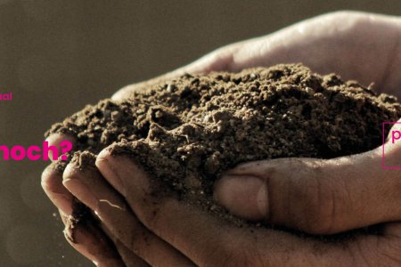 Expert*innen stellen sich im Albert-Schweitzer-Haus den Fragen zum Boden als Lebensgrundlage und die Perspektiven der Landwirtschaft. Foto: unsplash