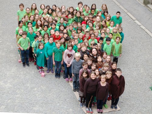 Gemeinsam bilden die Schüler einen Apfelbaum nach.