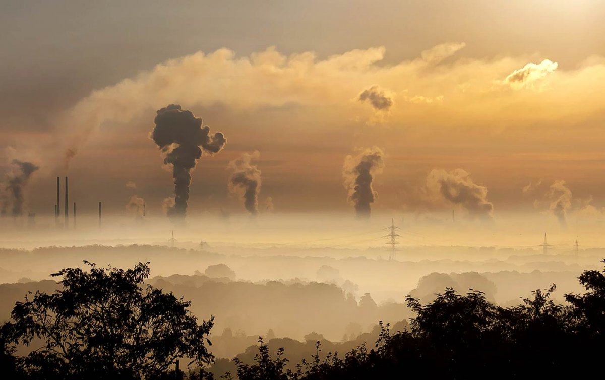   In der kirchlichen &quot;Schöpfungszeit&quot; steht der Schutz der Umwelt und des Klimas im Fokus. Foto: pixabay