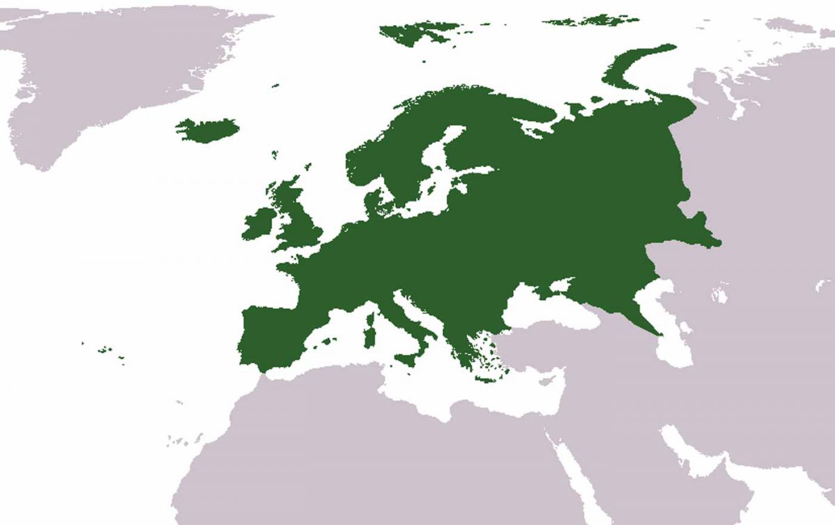 Minderheiten in Europa ergeben eine "Mehrheit der Fantasie", meinte EU-Kommissar Johannes Hahn beim Symposium in Wien. Grafik: wikimedia/cumhur Minderheiten in Europa ergeben eine "Mehrheit der Fantasie", meinte EU-Kommissar Johannes Hahn beim Symposium in Wien. Grafik: wikimedia/cumhur