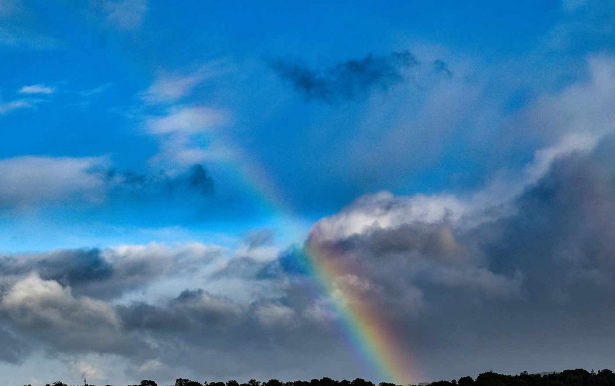 Franz Bartolomey: &quot;Töne sind der Irisbogen, der den Himmel mit dem Irdischen verbindet.“ Foto: pexels