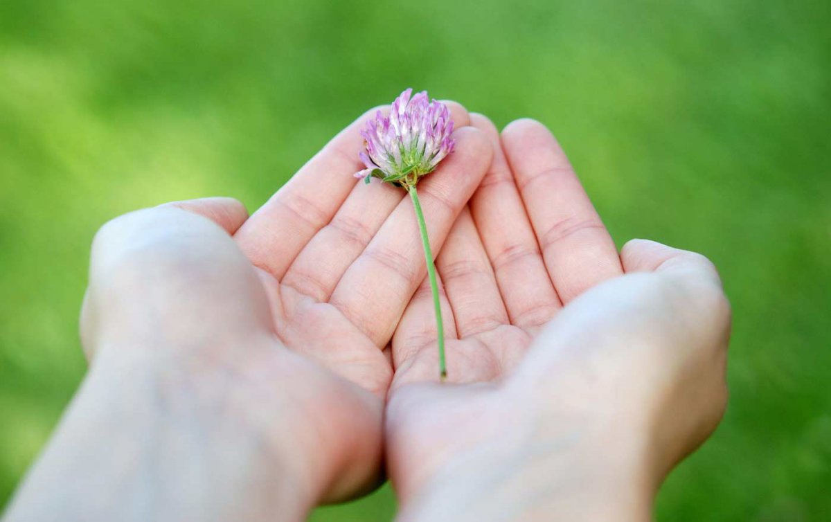 "Es ist wichtig für Menschen, etwas geben zu können. Das gehört zu unserer Würde." Foto: pixabay "Es ist wichtig für Menschen, etwas geben zu können. Das gehört zu unserer Würde." Foto: pixabay