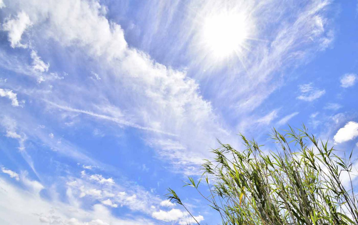 Die Vertreterinnen und Vertreter der Initiative appellieren an alle Menschen, "einen achtsamen Umgang mit der Natur zu pflegen". Foto: pixabay Die Vertreterinnen und Vertreter der Initiative appellieren an alle Menschen, "einen achtsamen Umgang mit der Natur zu pflegen". Foto: pixabay