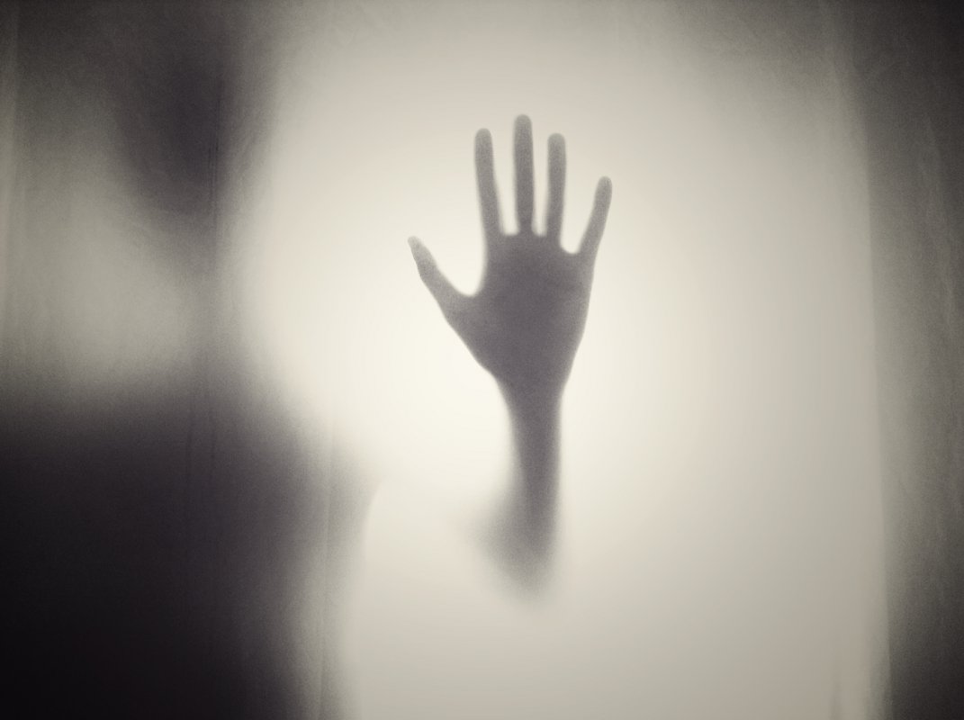 &quot;Angst lässt uns entweder ausflippen – schreien, weinen, um uns schlagen – oder erstarren.&quot; Foto: pixabay/Free-Photos