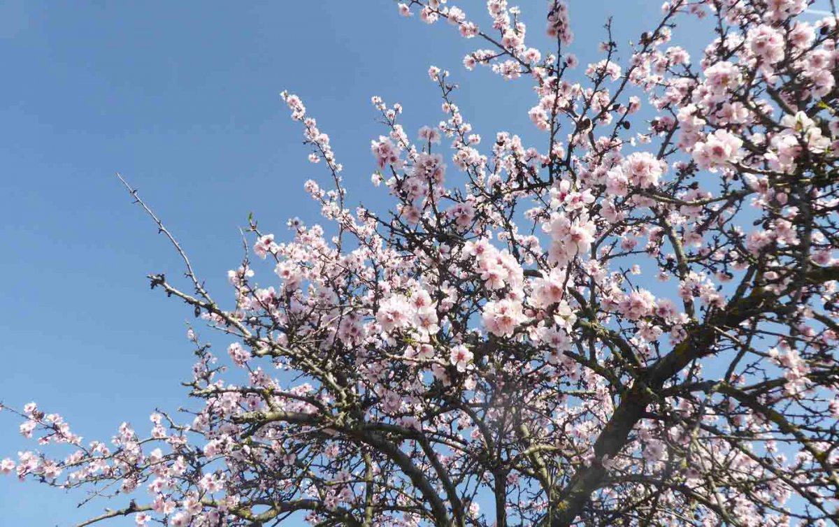 Ostern zuhause: Anleitungen für Hausandachten helfen beim Feiern. Foto: Matouschek Ostern zuhause: Anleitungen für Hausandachten helfen beim Feiern. Foto: Matouschek