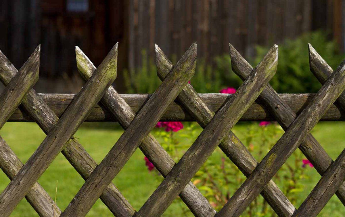 &quot;Schon immer war das Gras auf der anderen Seite grüner. In Krisenzeiten scheint es sogar noch grüner.&quot; Foto: pixabay
