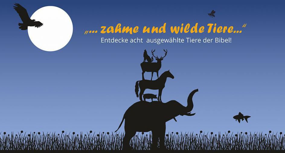 Acht ausgewählte Tiere der Bibel zum Entdecken, Arbeitsblätter mit vielen Informationen, Aufgaben, Rätseln, Bastelanleitungen und vielem mehr! Acht ausgewählte Tiere der Bibel zum Entdecken, Arbeitsblätter mit vielen Informationen, Aufgaben, Rätseln, Bastelanleitungen und vielem mehr!