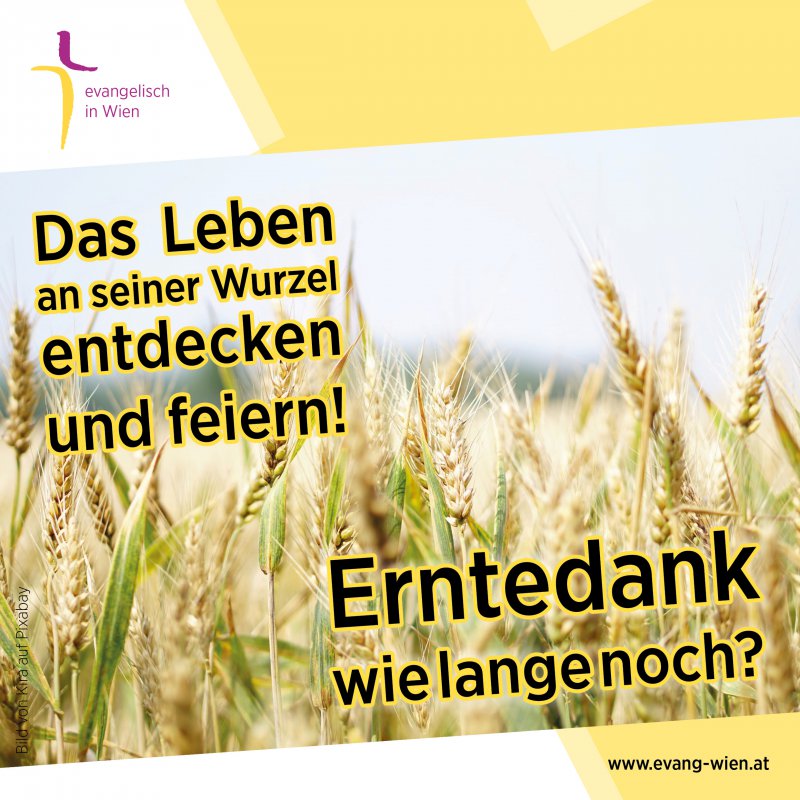 Erntedank das Leben an seiner Wurzel entdecken und feiern