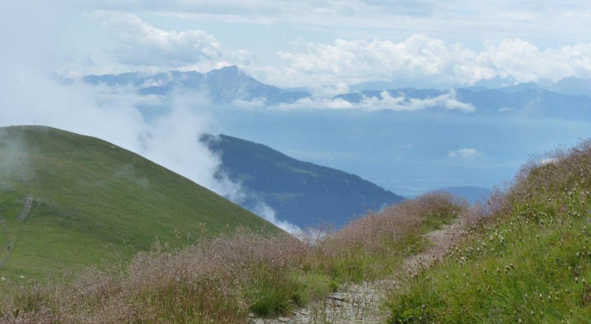 Möge Gott mit dir gehen auf deinen Wegen - das wünschen Hansjörg Lein und Inge Troch. (c) privat Ein schmaler Weg in den Bergen mit großartiger Aussicht auf die Natur.