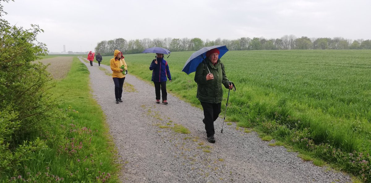 Pilgern ist mehr als gemeinsam unterwegs sein. Foto: Heinz Glaser